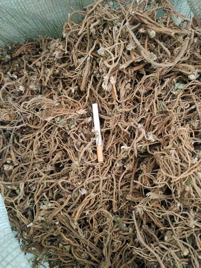 积雪草根，雷公根