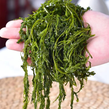 鞭炮笋/羊栖菜/长寿菜/马尾藻凉拌火锅食材