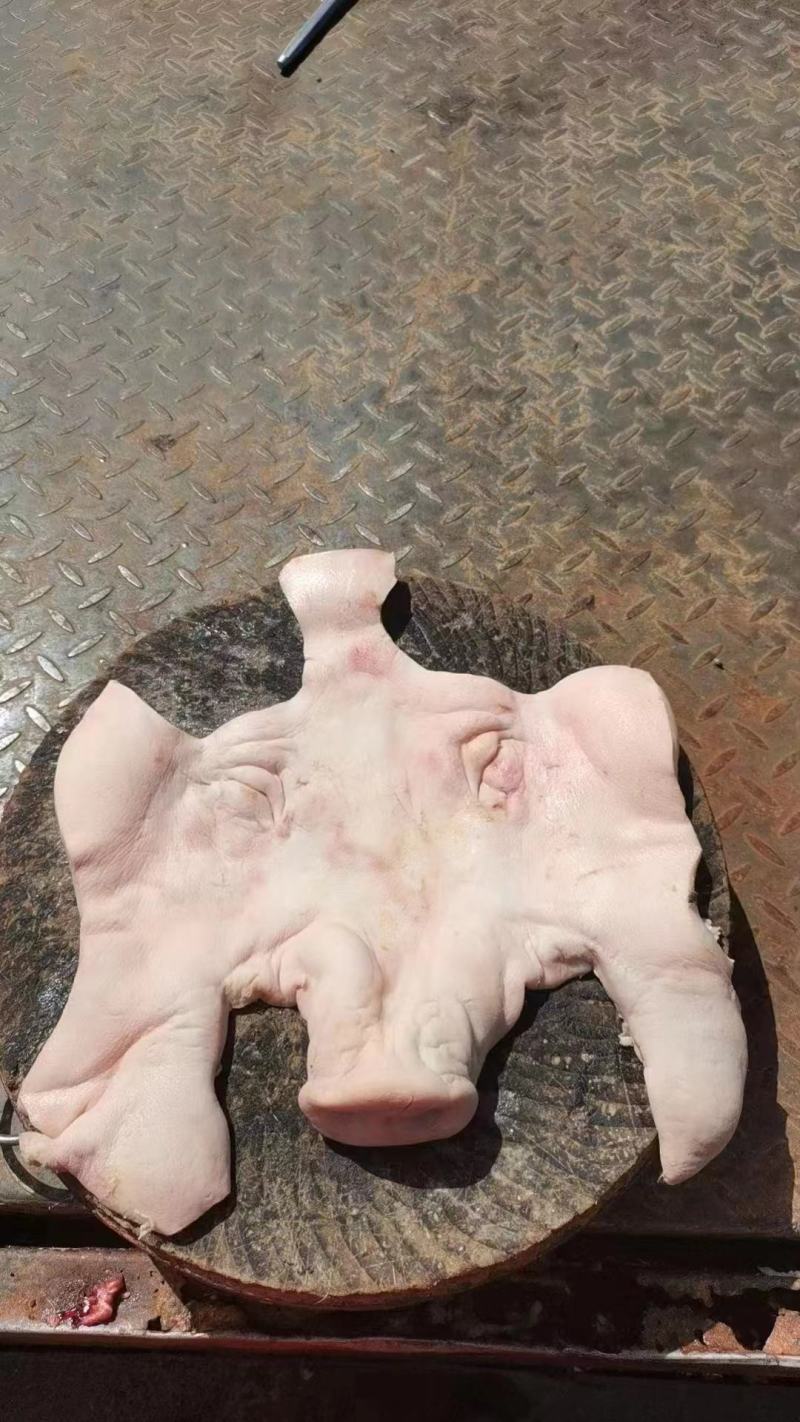 猪脸皮