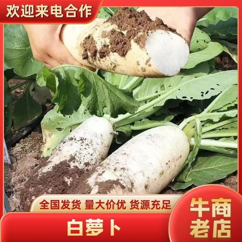 基地加工厂直发货，质量杠杠的欢迎来电订购