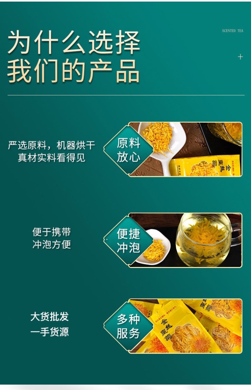 金丝皇菊批发