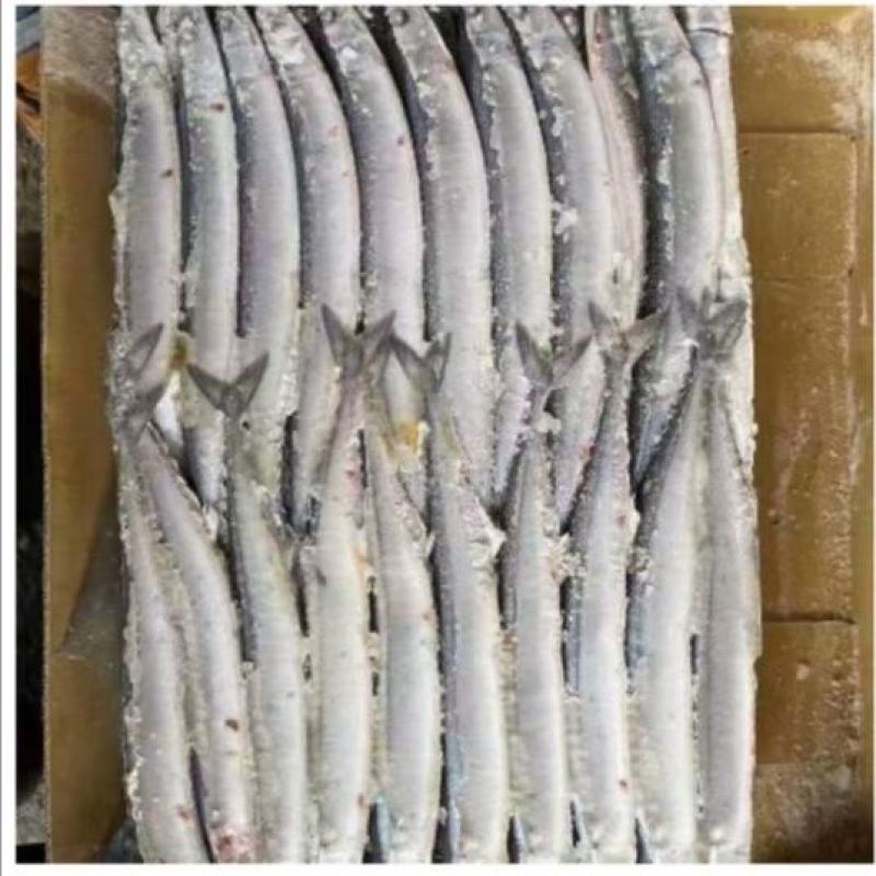 3号秋刀鱼新鲜鲜活冷冻大号海捕深海鱼秋刀鱼烧烤食材香煎秋