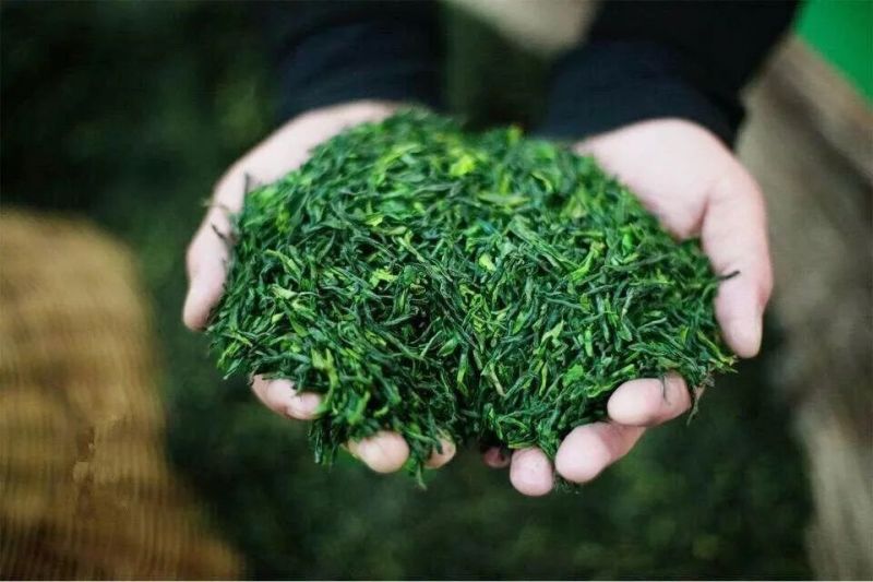 【桐城小花云雾茶】安徽基地直供质量上乘，可零售可批发