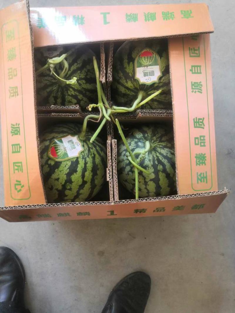 精品美都无籽西瓜大量供应，产地直发，量大从优，欢迎咨询