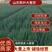 山东铁杆大葱苗，抗涝耐热品种，基地直发，保成活