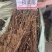 一枝黄花