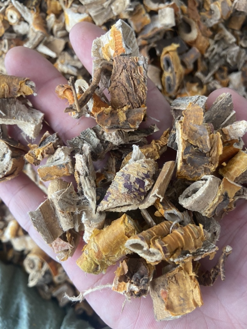桑白皮
