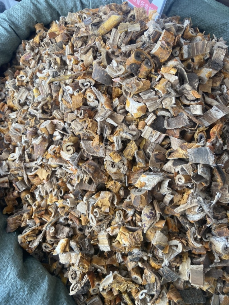 桑白皮