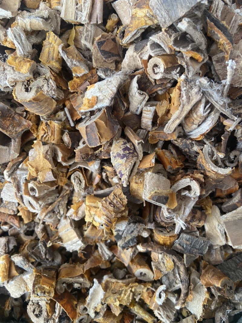 桑白皮