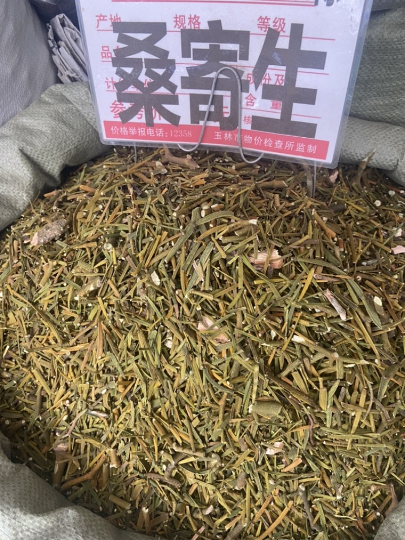 桑寄生