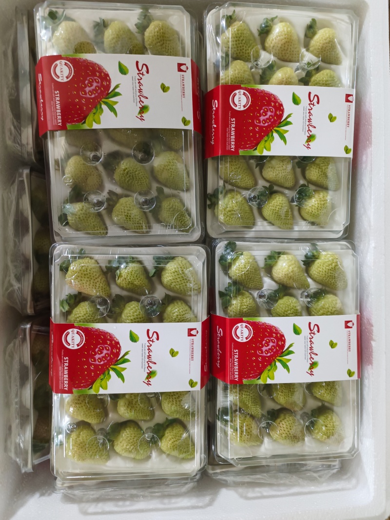 云南商用四季草莓烘焙果茶水果捞糖葫芦专用草莓