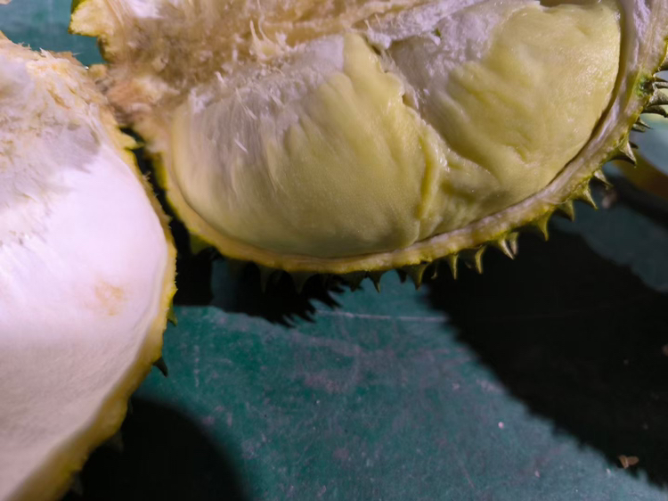 挑选金枕头榴莲果肉的方法
