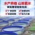 镀锌板帆布鱼池果园蓄水池鱼池帆布养殖池户外加厚养鱼专用箱
