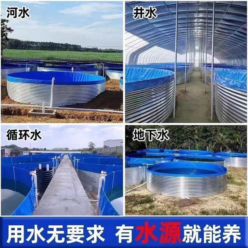 镀锌板帆布鱼池果园蓄水池鱼池帆布养殖池户外加厚养鱼专用箱