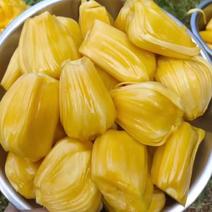海南黄肉菠萝蜜降价大量有货一件代发欢迎联系