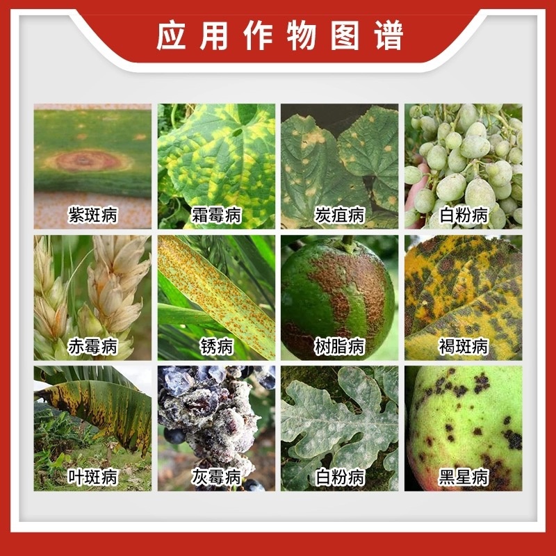 青岛海纳-品美-30%吡唑醚菌酯