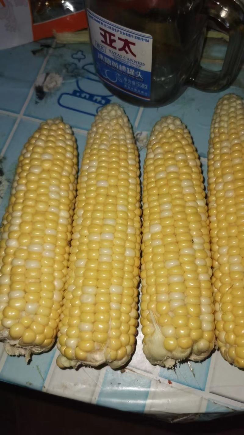 精品玉米，水果玉米，糯玉米产地直发，量大从优，欢迎咨询