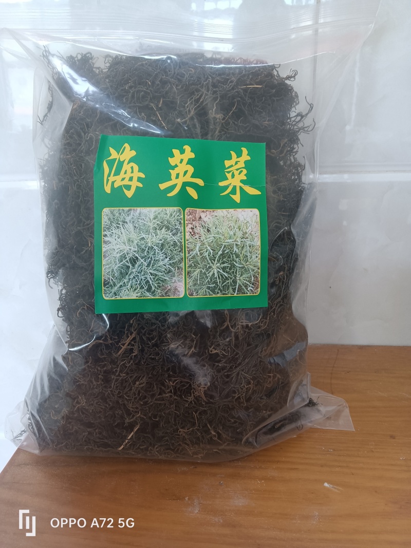 天然海英菜碱蓬草江苏产地直发质量保证一手货源欢迎订购