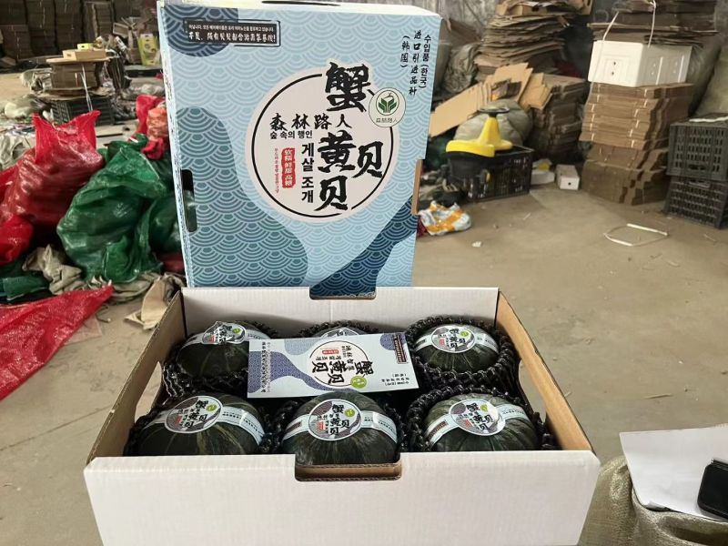 蟹黄贝贝产地一手货源规格齐全对接全国客商