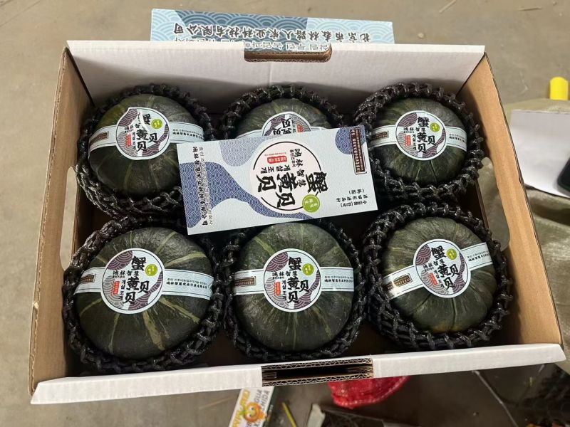 蟹黄贝贝产地一手货源规格齐全对接全国客商