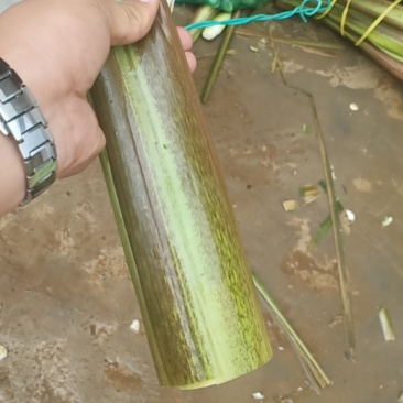 四川会理茭白大量上市，需要的联系我