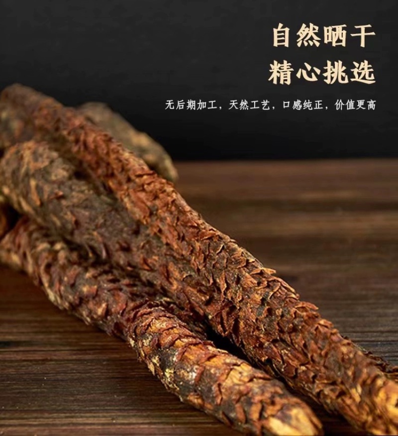 内蒙古阿拉善油苁蓉