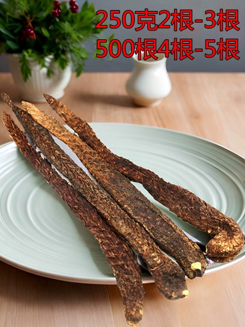 内蒙古阿拉善油苁蓉