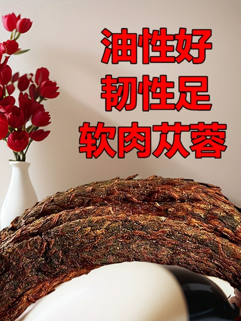 内蒙古阿拉善油苁蓉