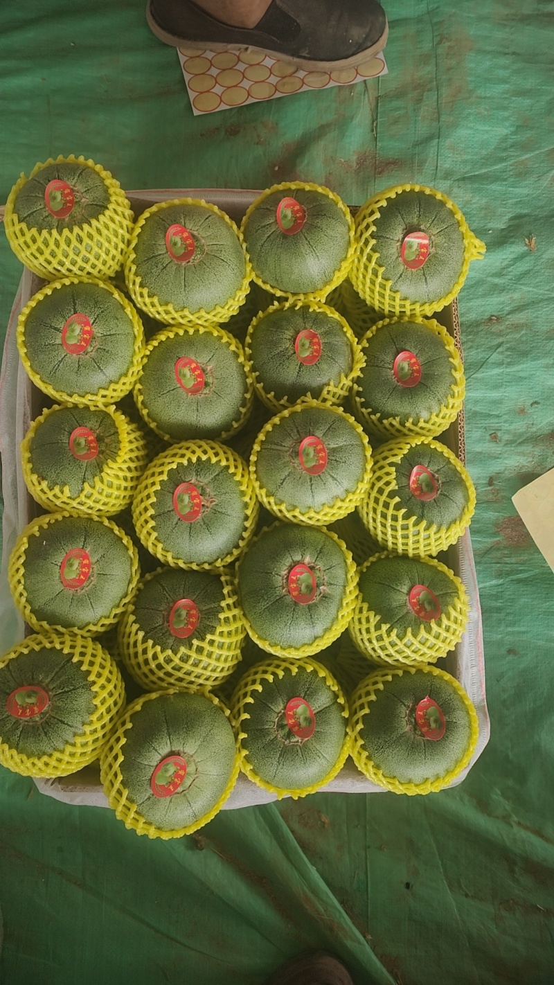 绿宝