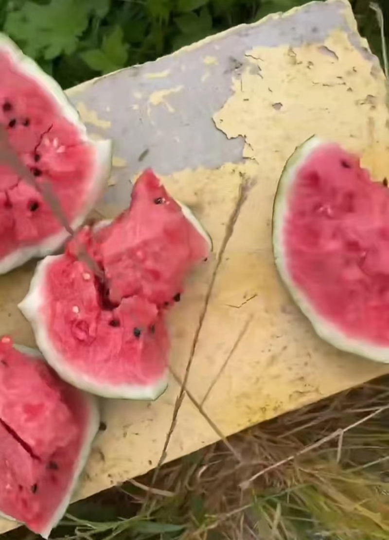甜王西瓜皮薄沙嚷红肉黑子多汁爽口质量保证