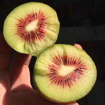 四川红心猕猴桃，产地代办，提供优质果品，