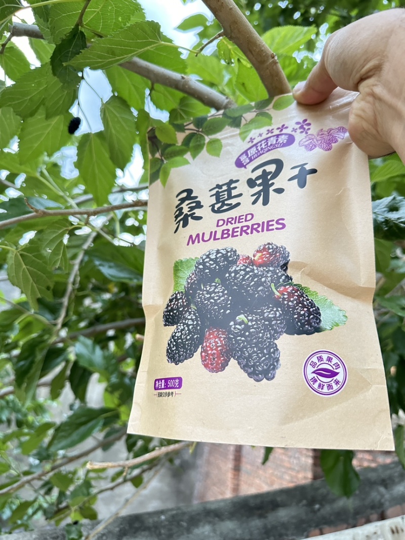 四川攀枝花深山老树桑椹干，价格不包含物流费。