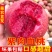 河南马谷田正宗朱砂红桃上市了，支持批发零售，一件代发