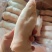 一级纯干带筋蹄18-2122-2526-30个