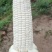 万糯2000