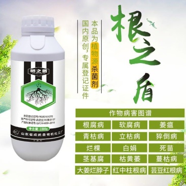 根腐病根部病害**青枯立枯茎基腐死棵烂苗姜瘟专用药根之盾