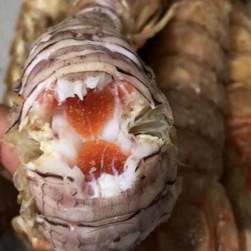 皮皮虾糕虾
