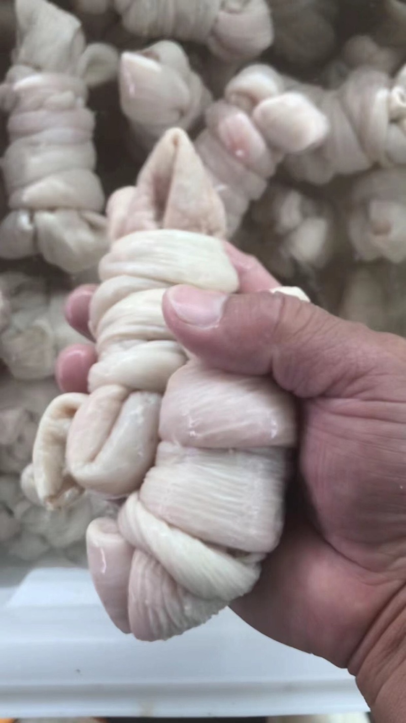 山东精品无油羊捆肠，规格齐全，货量足，一手货源，全国发货