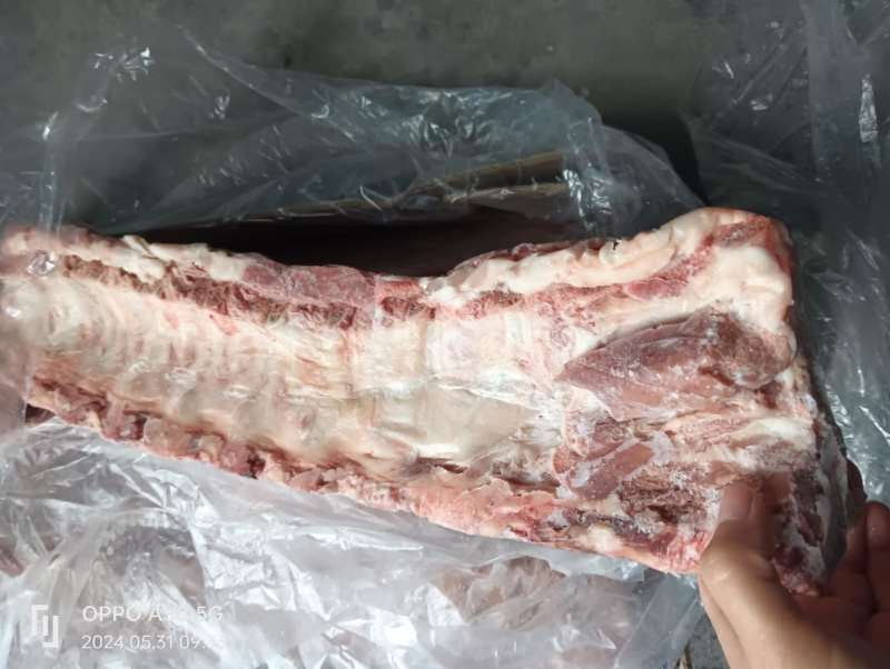 母猪龙骨