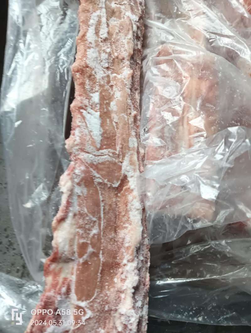母猪龙骨