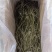 荣成盐渍海带丝净重五斤
