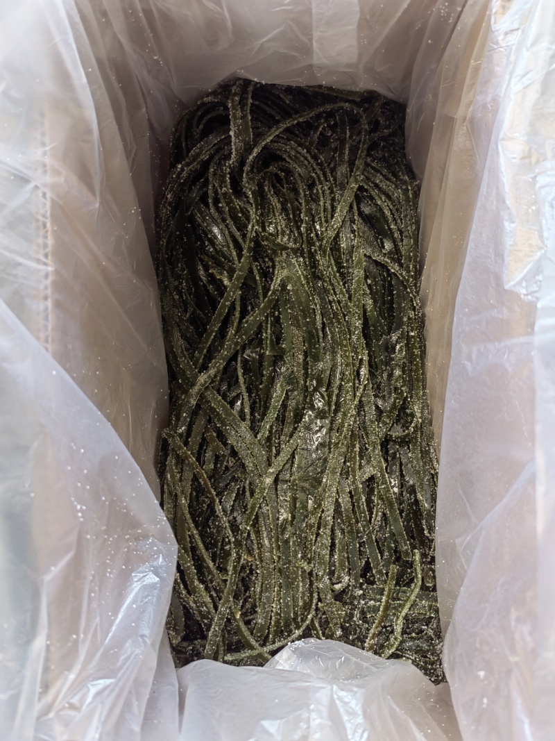 荣成盐渍海带丝净重五斤