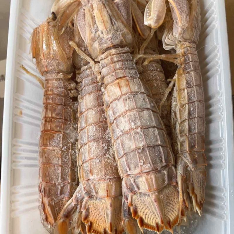 熟冻大公皮皮虾虾姑满肉虾婆