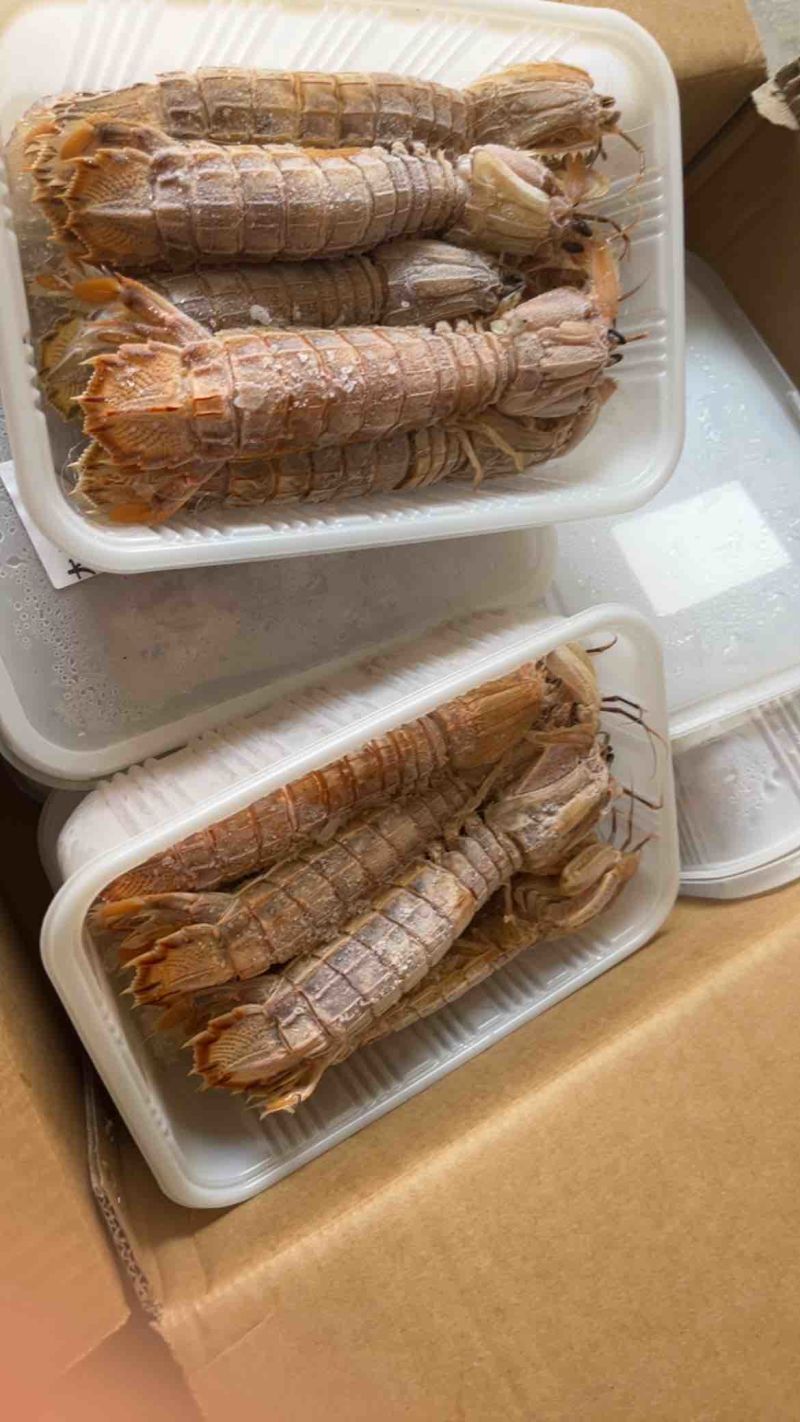 熟冻大公皮皮虾虾姑满肉虾婆