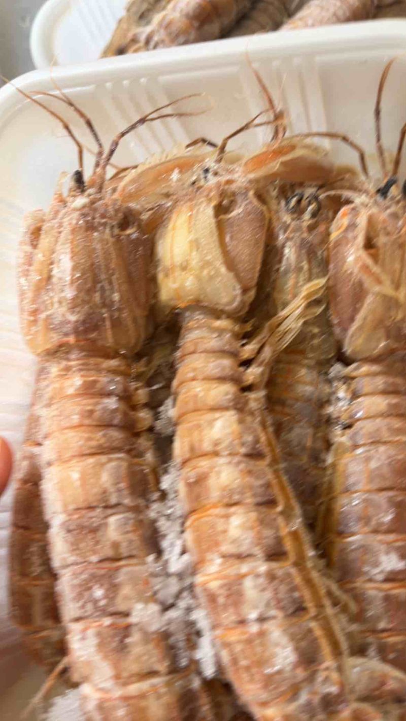 熟冻大公皮皮虾虾姑满肉虾婆