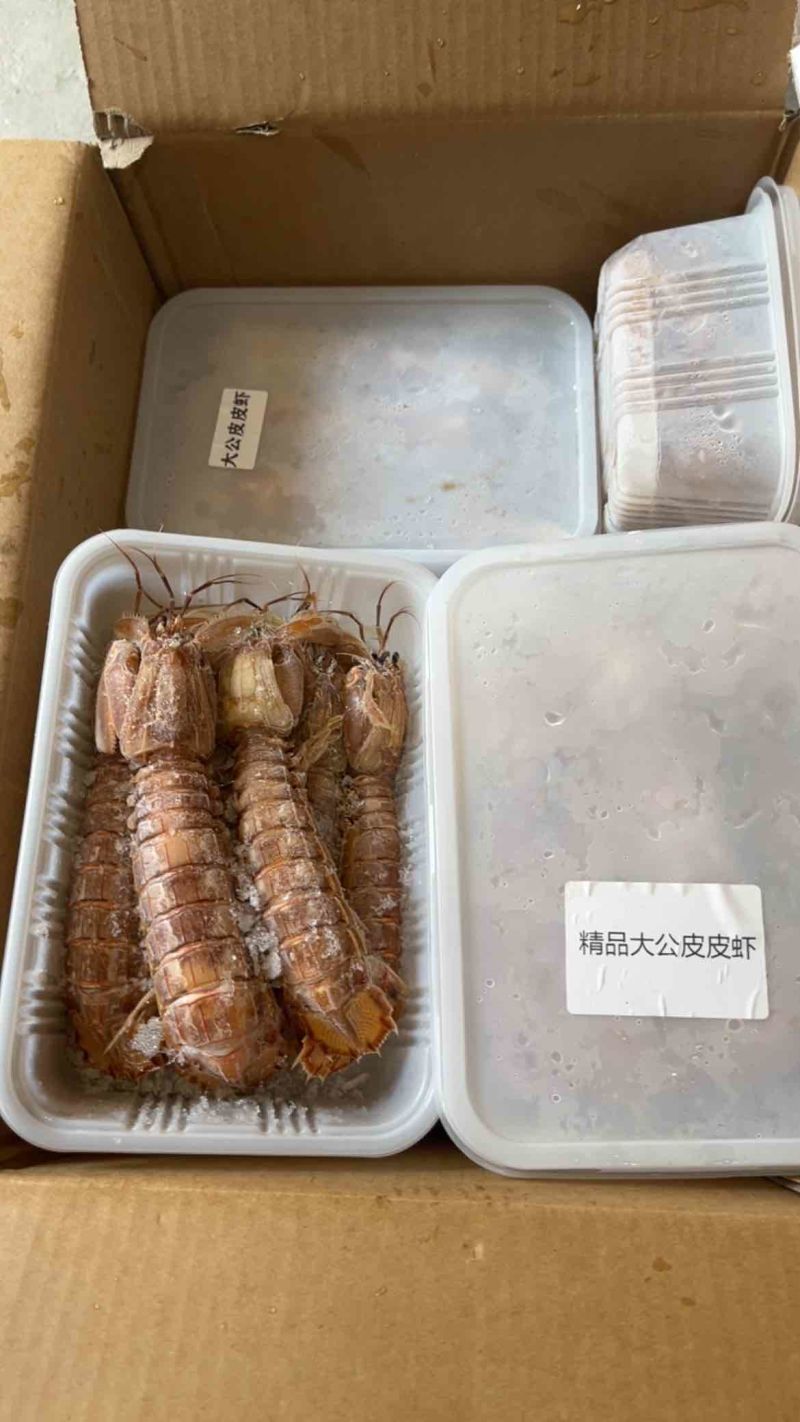 熟冻大公皮皮虾虾姑满肉虾婆