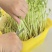 《精选》豌豆苗供应四川省内商超、社区团购、学校食堂饭店