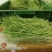 《精选》豌豆苗供应四川省内商超、社区团购、学校食堂饭店