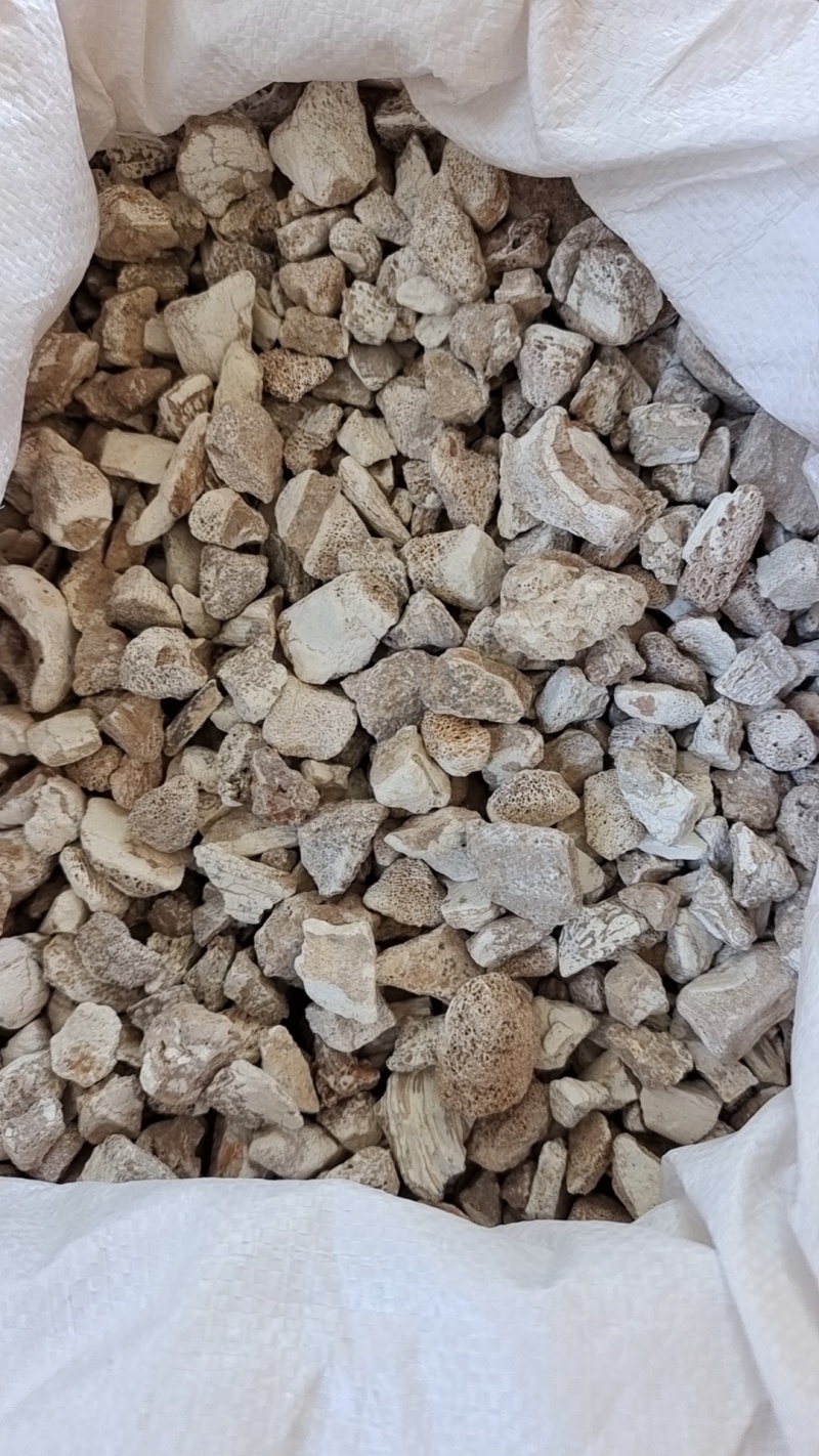 龙骨甘肃干货天然品质好2斤起包邮