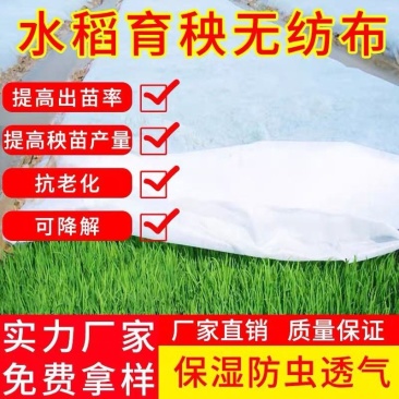 无纺布水稻育秧无纺布种草无纺布育苗育秧无纺布防寒无纺布